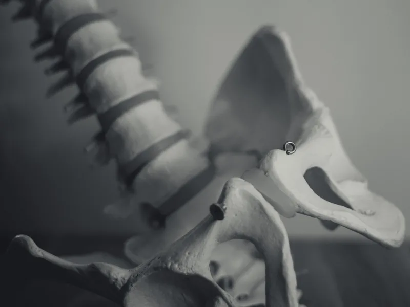 X-Rays at Melbourne Chiropractic Spine & Injury Center in Palm Bay